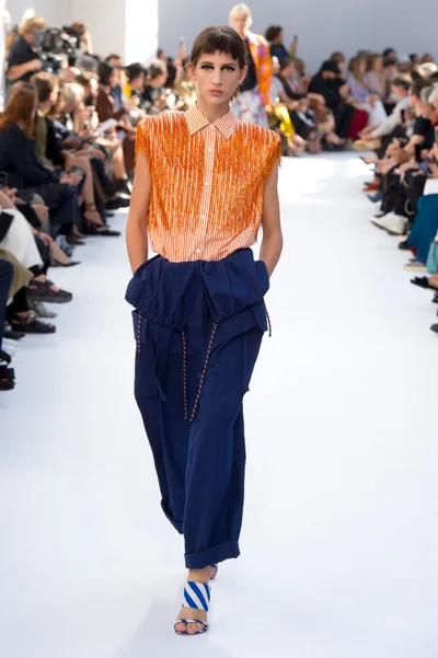 Look 33